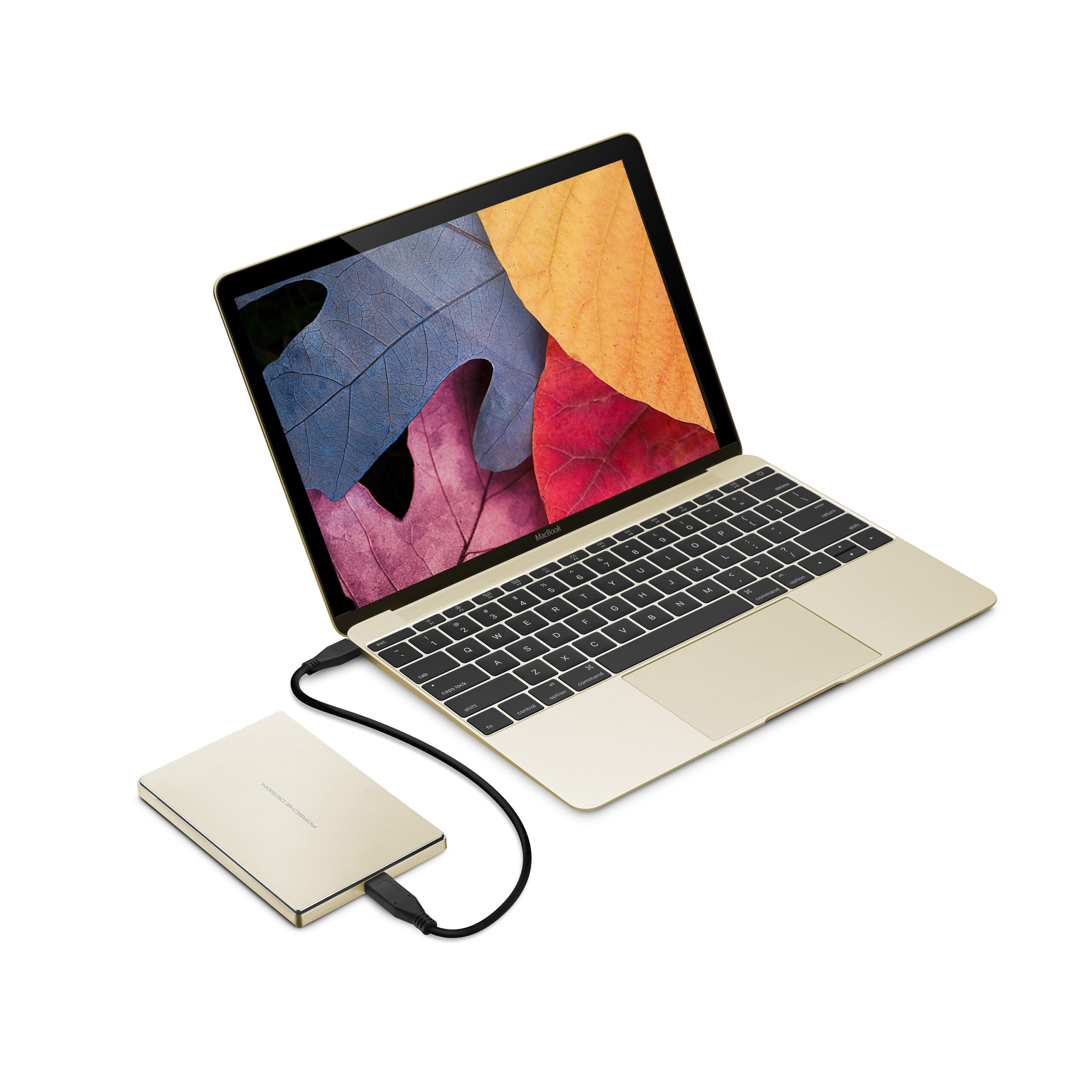 lacie-porsche-design-back-of-box-slim-5l-gold-hi-res-731x731